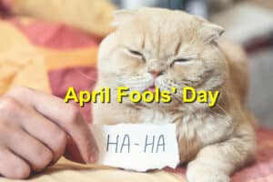 April Fools' Day