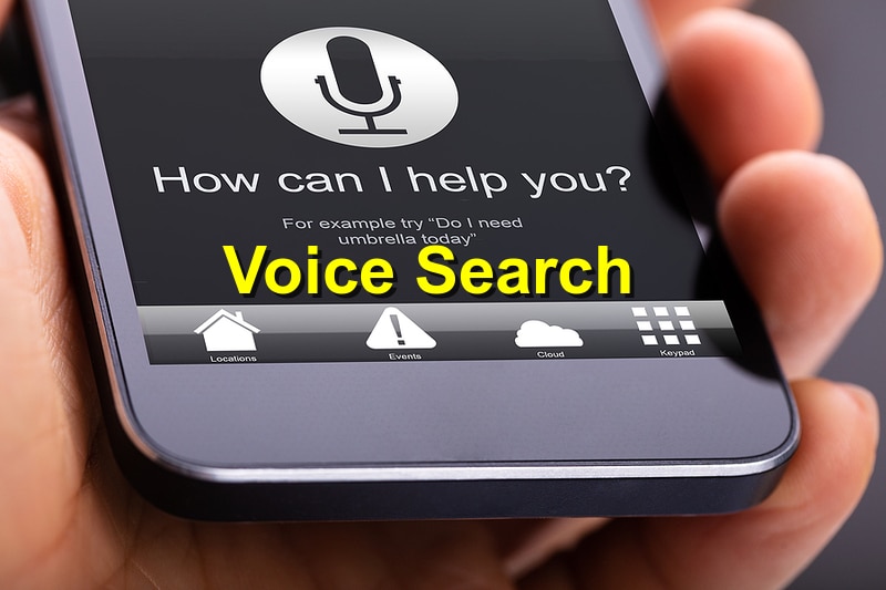 voice search