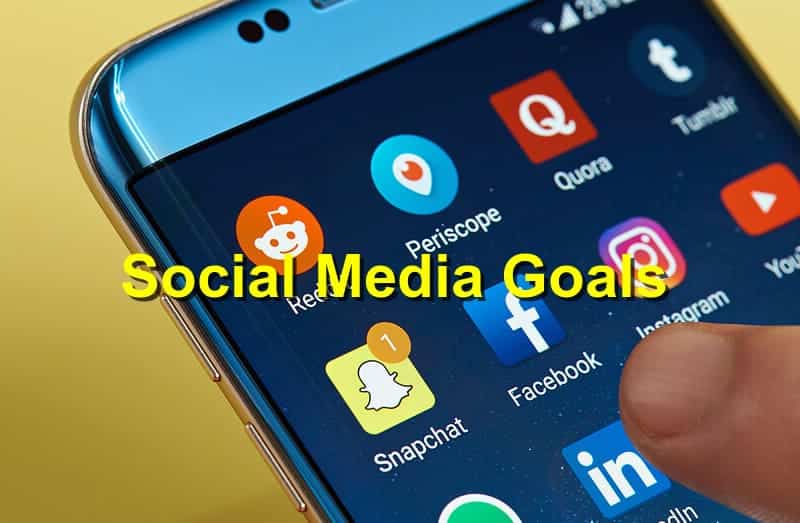 social media goals